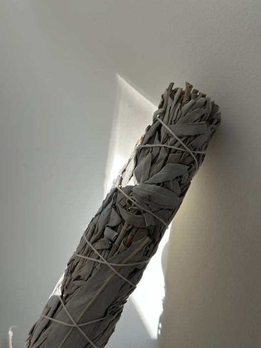 WHITE SAGE PLAIN 8"