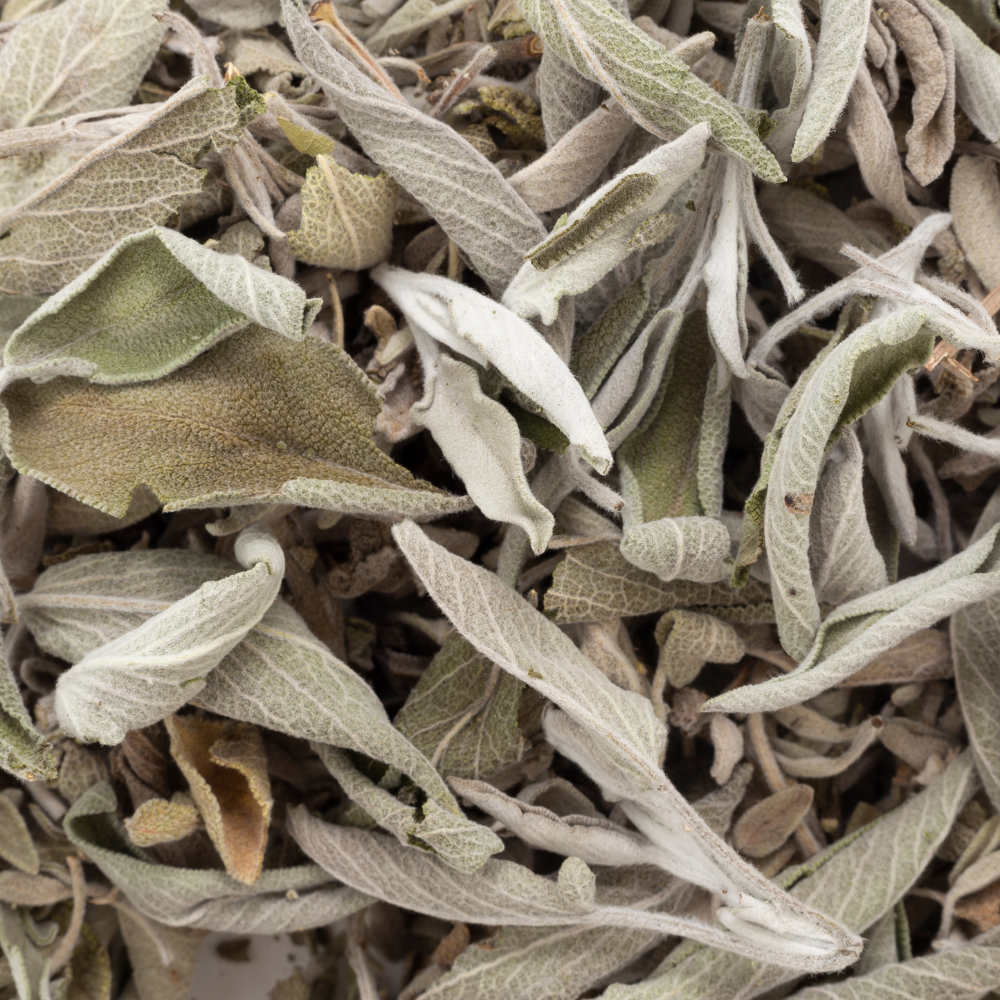 White Sage Loose Leaf 1 lb
