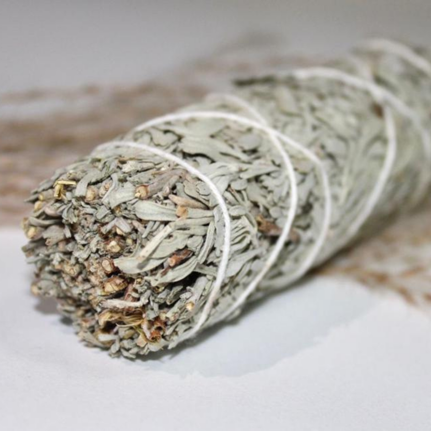 BLUE SAGE 4"
