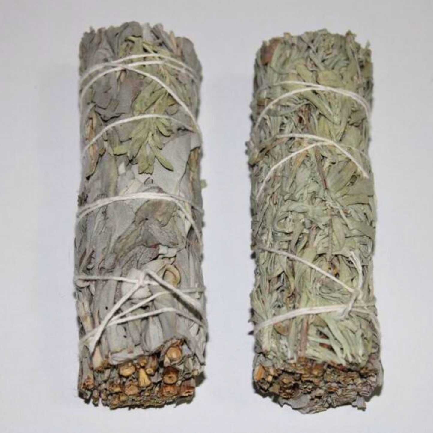 White and Blue Sage 4"