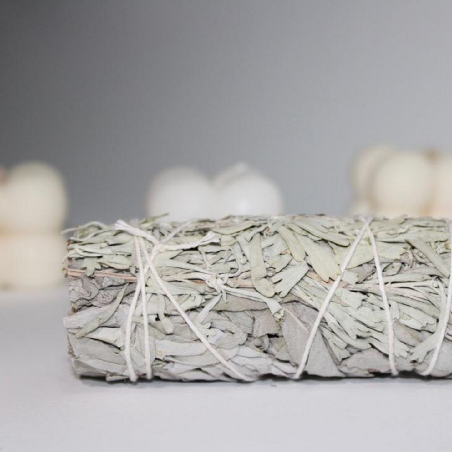 White and Blue Sage 4"