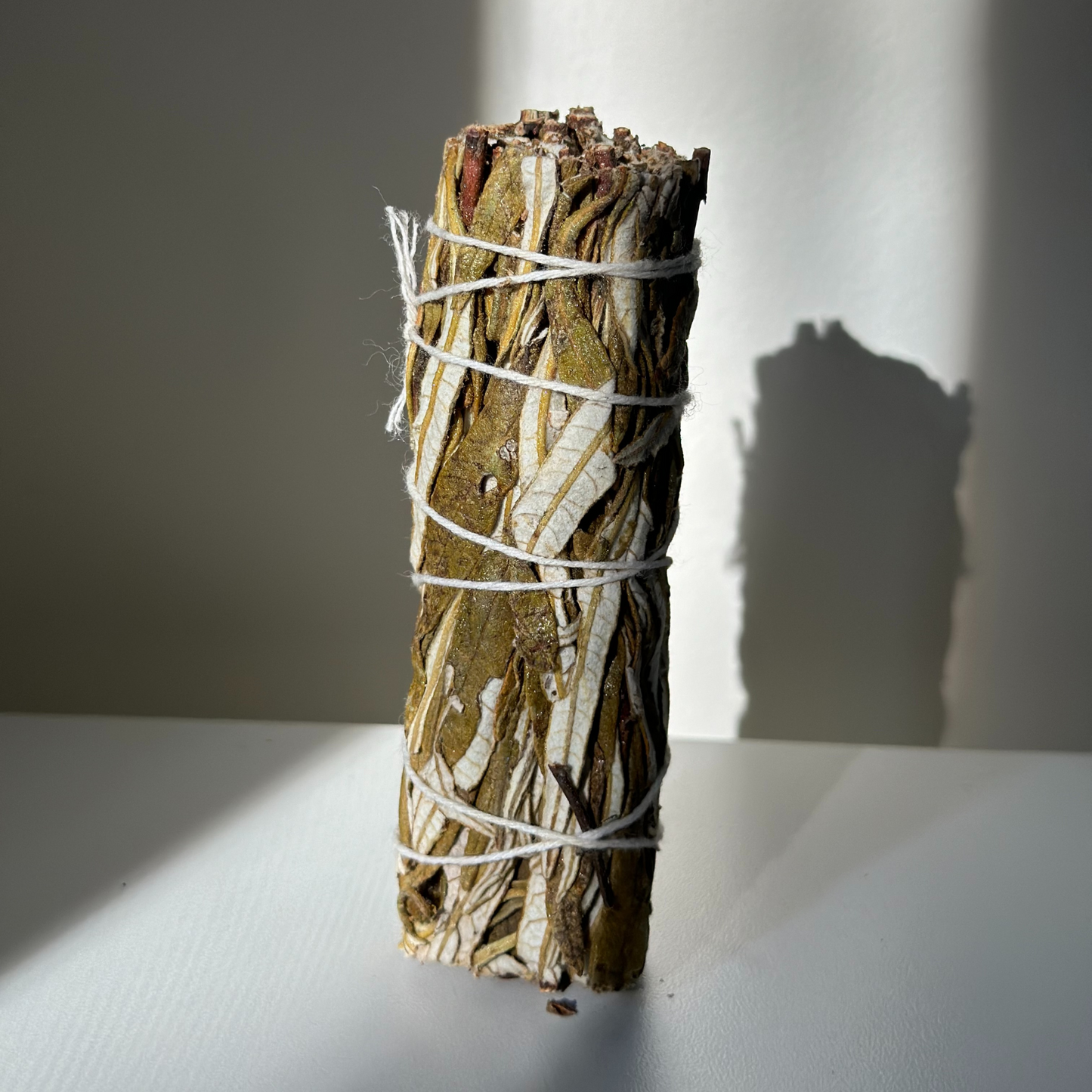 YERBA SANTA 4"