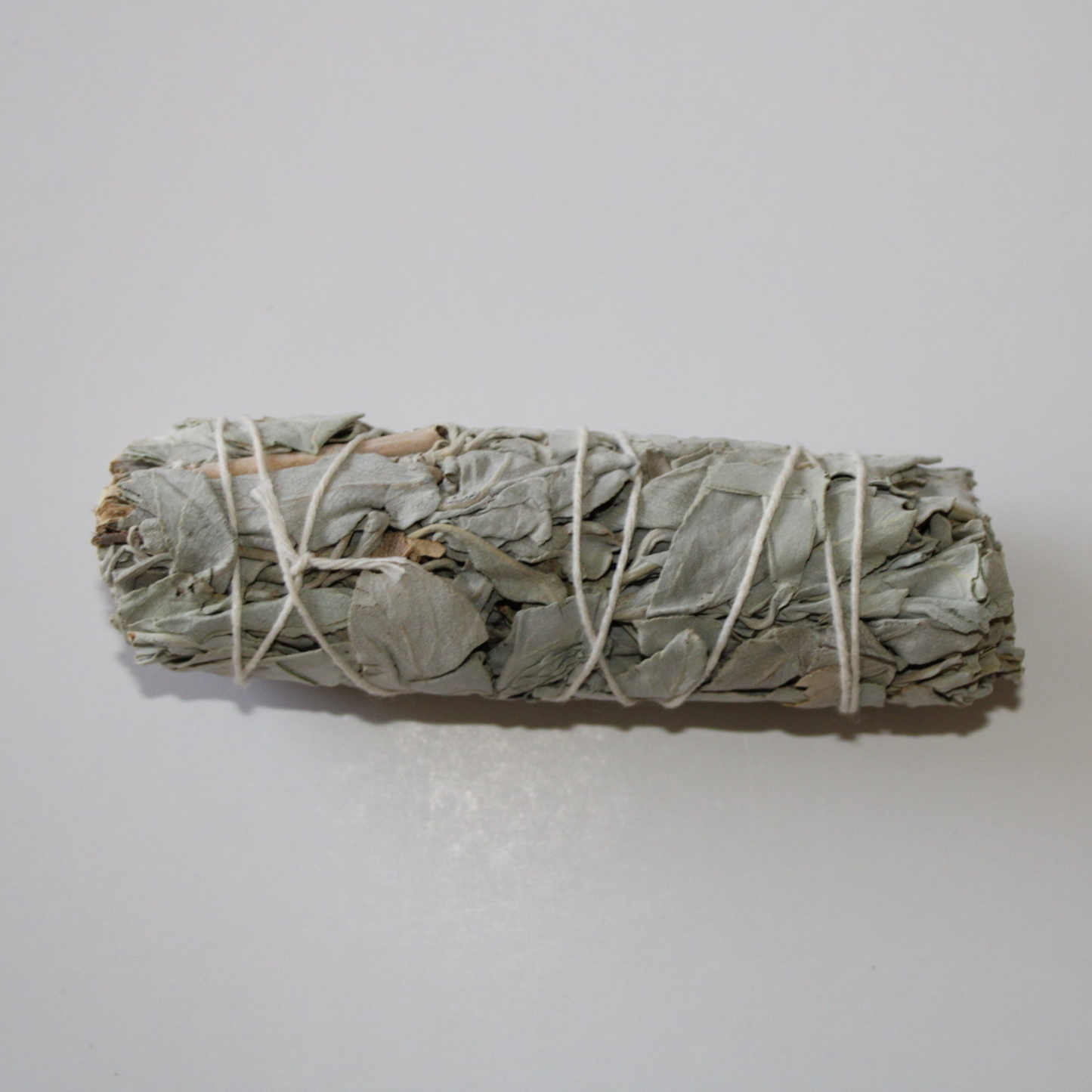 WHITE SAGE PLAIN 4"