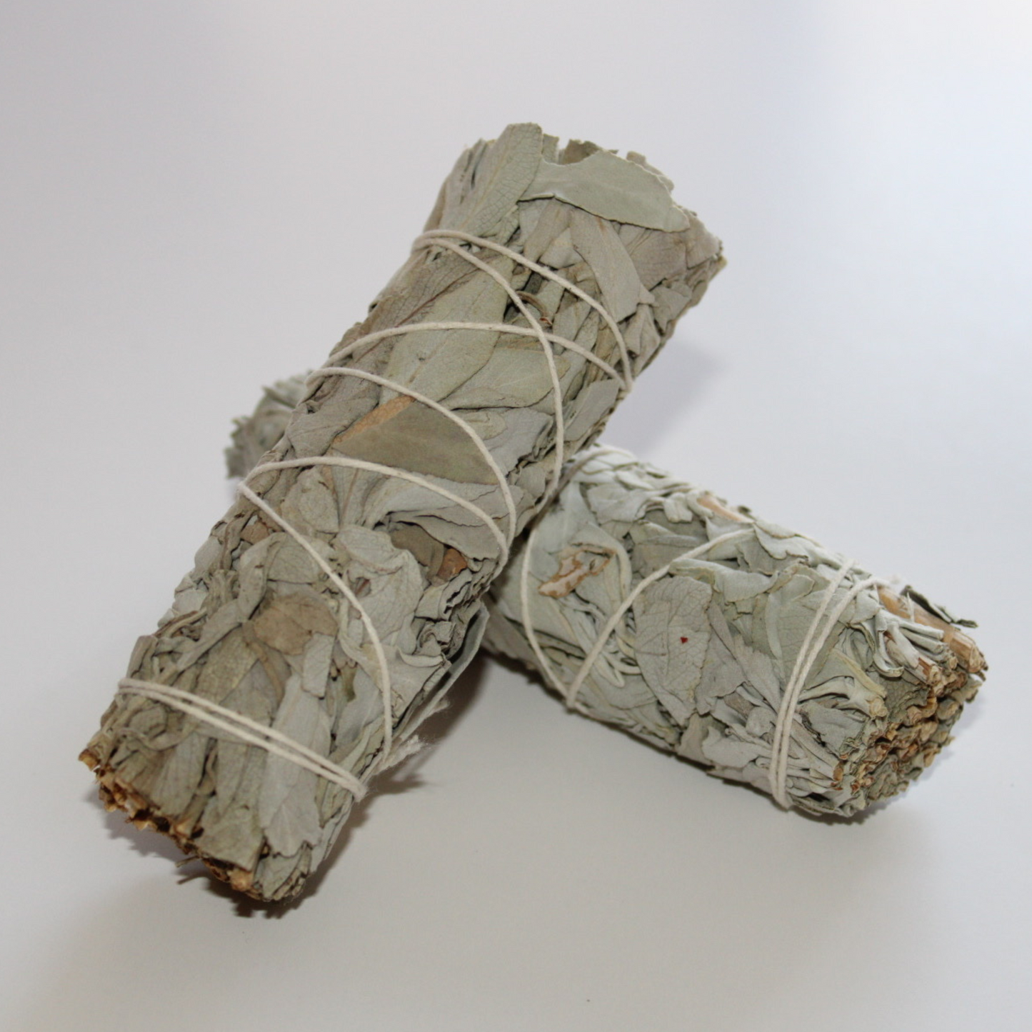WHITE SAGE PLAIN 4"