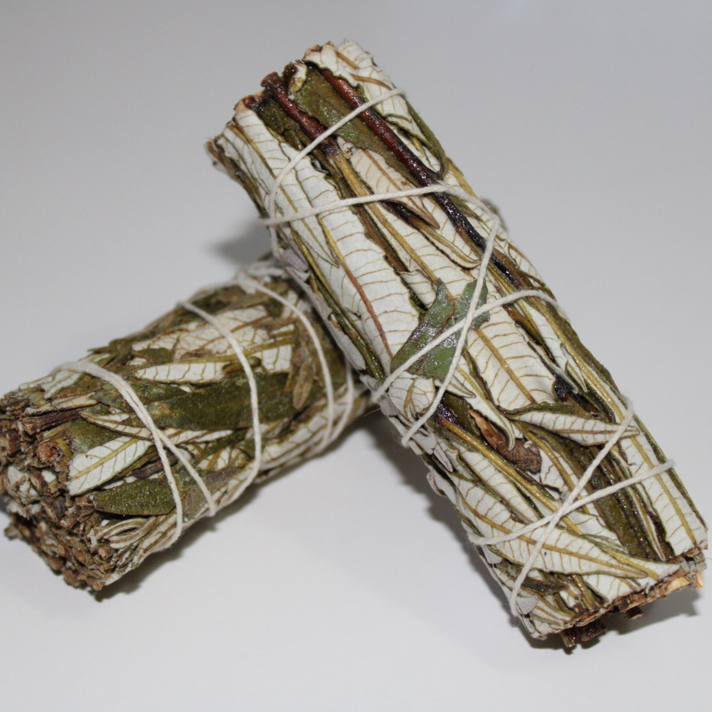 YERBA SANTA 4"