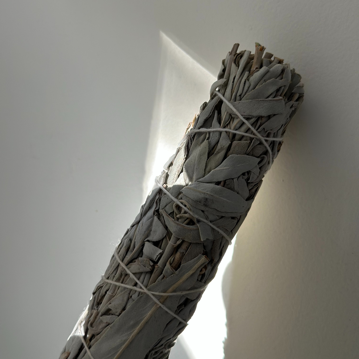 CALIFORNIA WHITE SAGE