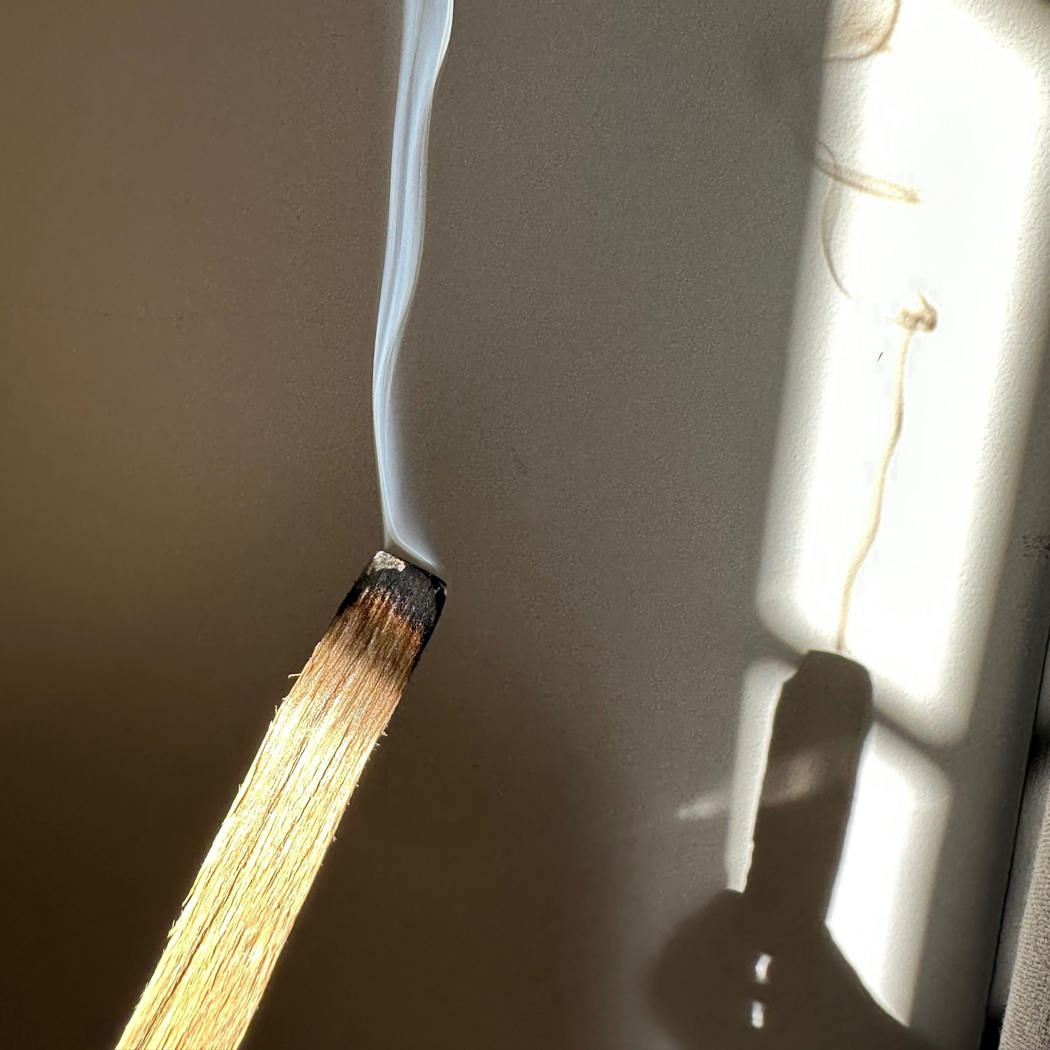 PALO SANTO