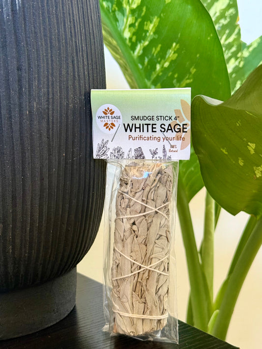 White Sage Plain 4" Individually Packaged