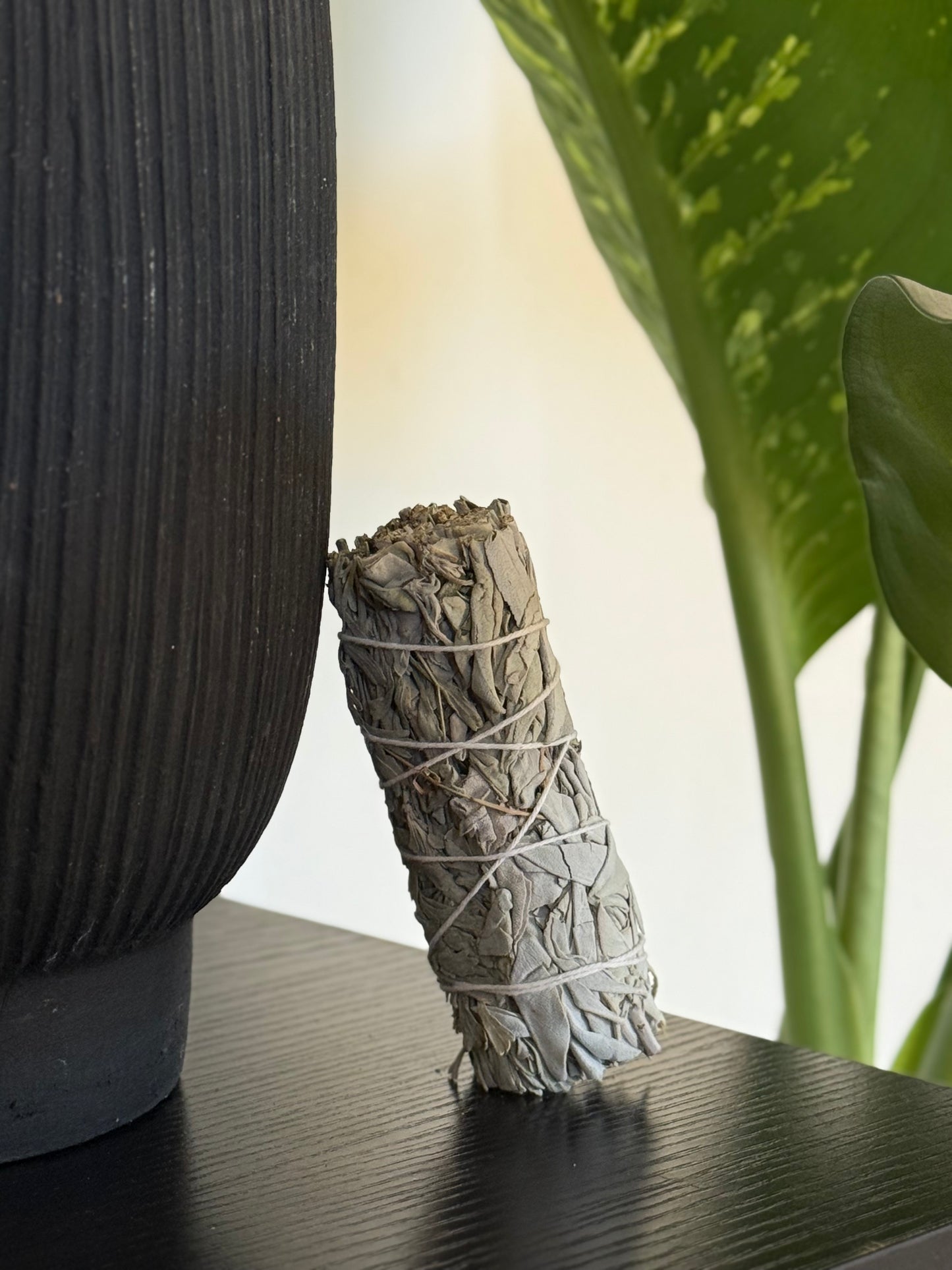 White and Blue Sage 4"