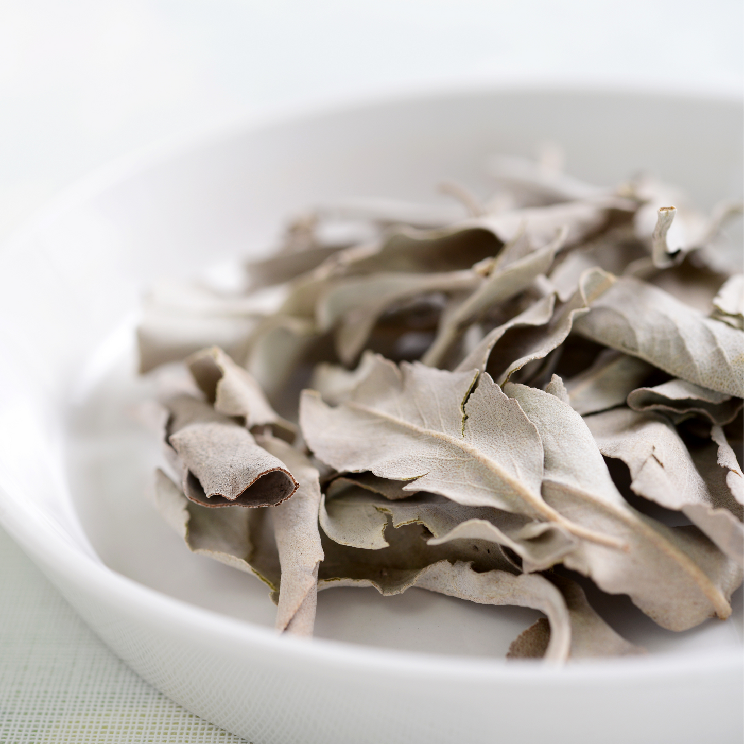 White Sage Loose Leaf 1/2 lb