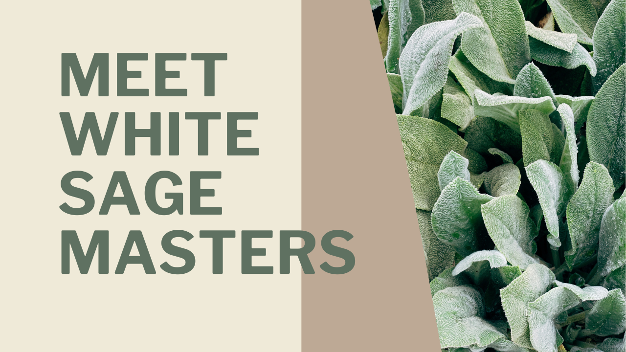 Load video: Meet White Sage Masters.