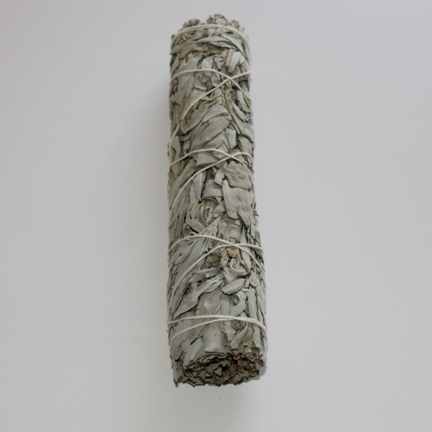 White Sage Plain 8"